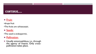 CONTINUE.....
 Fruit:
•drupe fruit
•The fruits are schizocarpic.
 Seeds:
•The seed is endospermic.
 Pollination:
 Usually entomophilous, i.e., through
the agency of insects. Only cross-
pollination takes place.
 