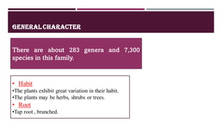 GENERAL CHARACTER
There are about 283 genera and 7,300
species in this family.
• Habit
•The plants exhibit great variation in their habit.
•The plants may be herbs, shrubs or trees.
• Root
•Tap root , branched.d branched
 