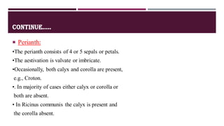 CONTINUE.....
 Perianth:
•The perianth consists of 4 or 5 sepals or petals.
•The aestivation is valvate or imbricate.
•Occasionally, both calyx and corolla are present,
e.g., Croton.
•. In majority of cases either calyx or corolla or
both are absent.
• In Ricinus communis the calyx is present and
the corolla absent.
 