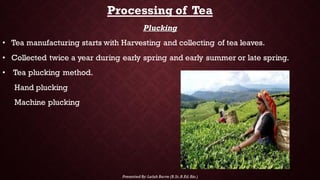 Distribution Process For Tea TEA(Distribution, climate, cultivation, processing and uses)by Latish ...