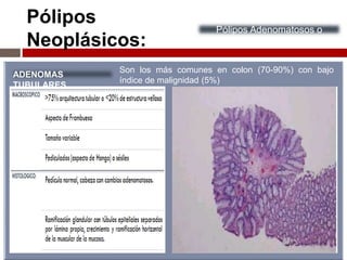 Pólipos
Neoplásicos:
Pólipos Adenomatosos o
Adenomas
ADENOMAS
TUBULARES
Son los más comunes en colon (70-90%) con bajo
índice de malignidad (5%)
 