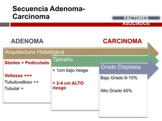 Secuencia Adenoma-
Carcinoma
Arquitectura Histológica
Sésiles ˃ Pediculado
Vellosos +++
Tubulovelloso ++
Tubular +
Tamaño
˂ 1cm bajo riesgo
˃ 2-4 cm ALTO
riesgo
Grado Displasia
Bajo Grado 6-10%
Alto Grado 40%
ADENOMA CARCINOMA
FACTORES
ASOCIADOS
 
