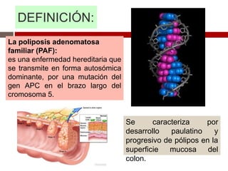 DEFINICIÓN:
Se caracteriza por
desarrollo paulatino y
progresivo de pólipos en la
superficie mucosa del
colon.
La poliposis adenomatosa
familiar (PAF):
es una enfermedad hereditaria que
se transmite en forma autosómica
dominante, por una mutación del
gen APC en el brazo largo del
cromosoma 5.
 