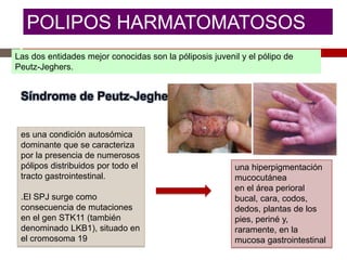 POLIPOS HARMATOMATOSOS
Las dos entidades mejor conocidas son la póliposis juvenil y el pólipo de
Peutz-Jeghers.
Síndrome de Peutz-Jeghers
es una condición autosómica
dominante que se caracteriza
por la presencia de numerosos
pólipos distribuidos por todo el
tracto gastrointestinal.
.El SPJ surge como
consecuencia de mutaciones
en el gen STK11 (también
denominado LKB1), situado en
el cromosoma 19
una hiperpigmentación
mucocutánea
en el área perioral
bucal, cara, codos,
dedos, plantas de los
pies, periné y,
raramente, en la
mucosa gastrointestinal
 