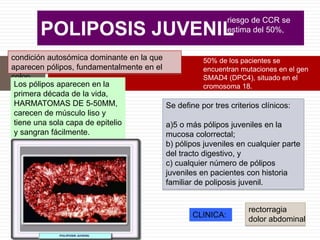 POLIPOSIS JUVENIL
condición autosómica dominante en la que
aparecen pólipos, fundamentalmente en el
colon
Se define por tres criterios clínicos:
a)5 o más pólipos juveniles en la
mucosa colorrectal;
b) pólipos juveniles en cualquier parte
del tracto digestivo, y
c) cualquier número de pólipos
juveniles en pacientes con historia
familiar de poliposis juvenil.
50% de los pacientes se
encuentran mutaciones en el gen
SMAD4 (DPC4), situado en el
cromosoma 18.
Los pólipos aparecen en la
primera década de la vida,
HARMATOMAS DE 5-50MM,
carecen de músculo liso y
tiene una sola capa de epitelio
y sangran fácilmente.
CLINICA:
rectorragia
dolor abdominal
riesgo de CCR se
estima del 50%,
 