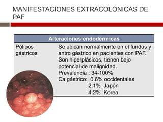 MANIFESTACIONES EXTRACOLÓNICAS DE
PAF
Alteraciones endodérmicas
Pólipos
gástricos
Se ubican normalmente en el fundus y
antro gástrico en pacientes con PAF.
Son hiperplásicos, tienen bajo
potencial de malignidad.
Prevalencia : 34-100%
Ca gástrico: 0.6% occidentales
2.1% Japón
4.2% Korea
 