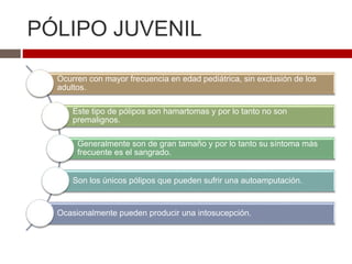 PÓLIPO JUVENIL
Ocurren con mayor frecuencia en edad pediátrica, sin exclusión de los
adultos.
Este tipo de pólipos son hamartomas y por lo tanto no son
premalignos.
Generalmente son de gran tamaño y por lo tanto su síntoma más
frecuente es el sangrado.
Son los únicos pólipos que pueden sufrir una autoamputación.
Ocasionalmente pueden producir una intosucepción.
 