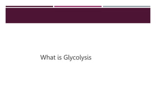 What is Glycolysis
 