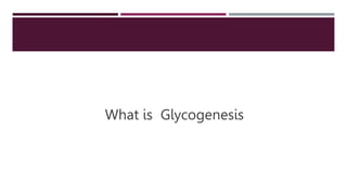 What is Glycogenesis
 