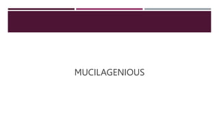 MUCILAGENIOUS
 
