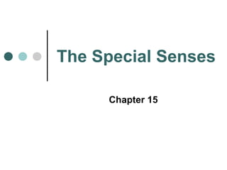 The Special Senses
Chapter 15
 