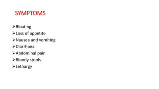 SYMPTOMS
Bloating
Loss of appetite
Nausea and vomiting
Diarrhoea
Abdominal pain
Bloody stools
Lethargy
 