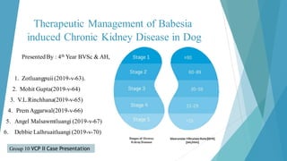 Therapeutic Management of Babesia
induced Chronic Kidney Disease in Dog
Presented By : 4th Year BVSc & AH,
1. Zotluangpuii(2019-v-63).
2. Mohit Gupta(2019-v-64)
3. V.L.Rinchhana(2019-v-65)
4. PremAggarwal(2019-v-66)
5. Angel Malsawmtluangi (2019-v-67)
6. Debbie Lalhruaitluangi (2019-v-70)
Group 10 VCP II Case Presentation
 