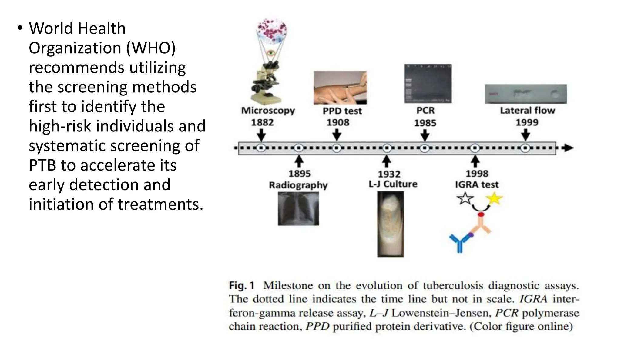 Lab diagnosis of tb pptx infectious diseases diseases and conditions