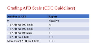 Lab diagnosis of TB | PPTX