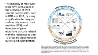Lab Genetics Tuberculosis Lab diagnosis of TB | PPTX