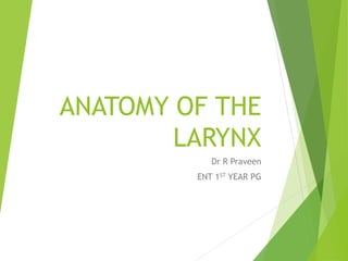ANATOMY OF THE
LARYNX
Dr R Praveen
ENT 1ST YEAR PG
 