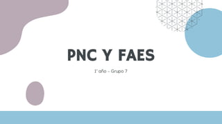 PNC Y FAES
1° año – Grupo 7
 