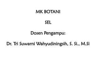 MK BOTANI
SEL
Dosen Pengampu:
Dr. Tri Suwarni Wahyudiningsih, S. Si., M.Si
 