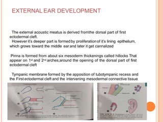 anatomy and embrology of middle and inner ear | PPTX