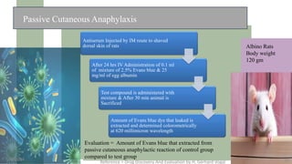 Passive Cutaneous Anaphylaxis
Antiserum Injected by IM route to shaved
dorsal skin of rats
After 24 hrs IV Administration of 0.1 ml
of mixture of 2.5% Evans blue & 25
mg/ml of egg albumin
Test compound is administered with
mixture & After 30 min animal is
Sacrificed
Amount of Evans blue dye that leaked is
extracted and determined colorometrically
at 620 millimicron wavelength
Albino Rats
Body weight
120 gm
Evaluation = Amount of Evans blue that extracted from
passive cutaneous anaphylactic reaction of control group
compared to test group
5/8/2024
Reference = Drug Discovery And Evaluation by H. Gerhard Vogal 10
 