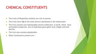 CHEMICAL CONSTITUENTS
 The fruits of Phyllanthus emblica are rich In tannins.
 The fruits have 28g of the total tannin's distributed in the whole plant.
 The fruit contains two hydrolysable tannins emblicanin A and B, which have
antioxidant properties, one on hydrolysis gives gallic acid, ellagic acid and
glucose.
 The fruit also contains phyllemblin.
 Other Constituents present are :-
 