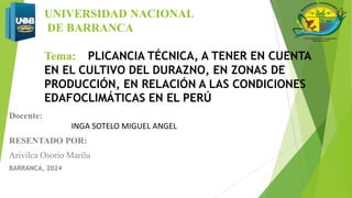 UNIVERSIDAD NACIONAL
DE BARRANCA
Tema:IMPLICANCIA TÉCNICA, A TENER EN CUENTA
EN EL CULTIVO DEL DURAZNO, EN ZONAS DE
PRODUCCIÓN, EN RELACIÓN A LAS CONDICIONES
EDAFOCLIMÁTICAS EN EL PERÚ
Docente:
INGA SOTELO MIGUEL ANGEL
RESENTADO POR:
Arivilca Osorio Marilu
BARRANCA, 2024
 