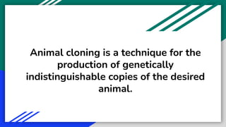 Ethical Considerations of Animal Cloning | PDF