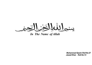 Muhammad Qasim Roll No:27
Jawad Khan Roll No:13
In The Name of Allah
 