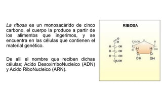 Carbohidratos..,.......................... | PDF