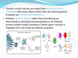 Toxoid Examples Vaccine drug delivery system, single shot vaccine | PPTX