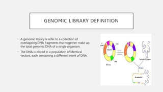 Genomic DNA And Complementary DNA Libraries construction. | PPT