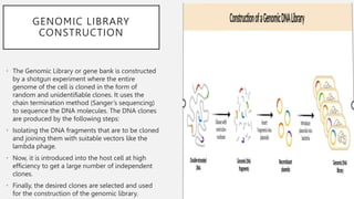 GENOMIC LIBRARY
CONSTRUCTION
• The Genomic Library or gene bank is constructed
by a shotgun experiment where the entire
genome of the cell is cloned in the form of
random and unidentifiable clones. It uses the
chain termination method (Sanger’s sequencing)
to sequence the DNA molecules. The DNA clones
are produced by the following steps:
• Isolating the DNA fragments that are to be cloned
and joining them with suitable vectors like the
lambda phage.
• Now, it is introduced into the host cell at high
efficiency to get a large number of independent
clones.
• Finally, the desired clones are selected and used
for the construction of the genomic library.
 