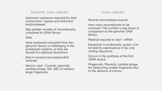 Genomic DNA And Complementary DNA Libraries construction. | PPT