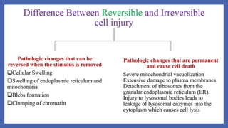Difference between reversible and irreversible cell injury.pdf