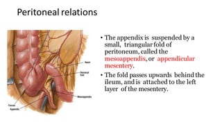 APPENDECTOMY PRESENTATION BY GENERAL SURGERY | PDF