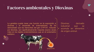 La genética puede tener una función en la exposición a
dioxinas y el desarrollo de endometriosis. Se ha
demostrado que los transcritos del gen CYP1A1, inducido
por dioxinas, son significativamente mayores (nueve veces
más) en los tejidos endometriósicos que en el endometrio
eutópico
Factores ambientales y Dioxinas
Dioxinas. derivado
industrial que se
acumula en alimentos
de origen animal.
adipocito
 