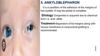 Eyelid deformities by Rutuja Mane bsc nursing | PPTX
