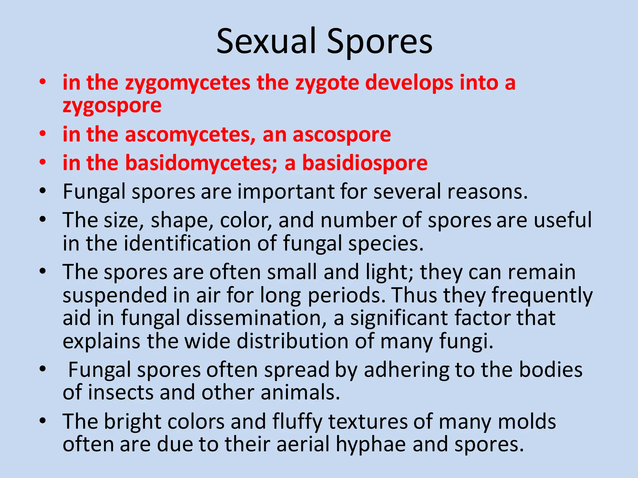 Sexual Spores
• in the zygomycetes the zygote develops into a
zygospore
• in the ascomycetes, an ascospore
• in the basidomycetes; a basidiospore
• Fungal spores are important for several reasons.
• The size, shape, color, and number of spores are useful
in the identification of fungal species.
• The spores are often small and light; they can remain
suspended in air for long periods. Thus they frequently
aid in fungal dissemination, a significant factor that
explains the wide distribution of many fungi.
• Fungal spores often spread by adhering to the bodies
of insects and other animals.
• The bright colors and fluffy textures of many molds
often are due to their aerial hyphae and spores.
 