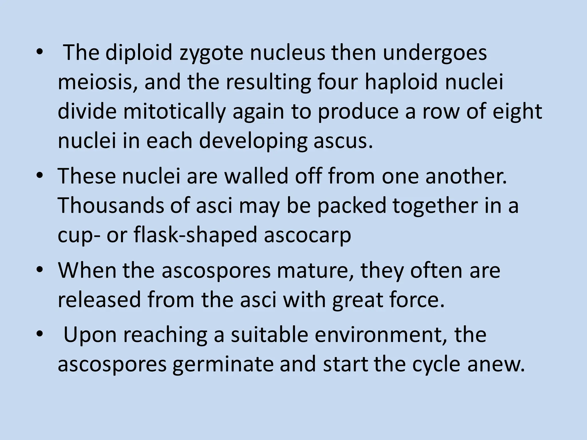 • The diploid zygote nucleus then undergoes
meiosis, and the resulting four haploid nuclei
divide mitotically again to produce a row of eight
nuclei in each developing ascus.
• These nuclei are walled off from one another.
Thousands of asci may be packed together in a
cup- or flask-shaped ascocarp
• When the ascospores mature, they often are
released from the asci with great force.
• Upon reaching a suitable environment, the
ascospores germinate and start the cycle anew.
 