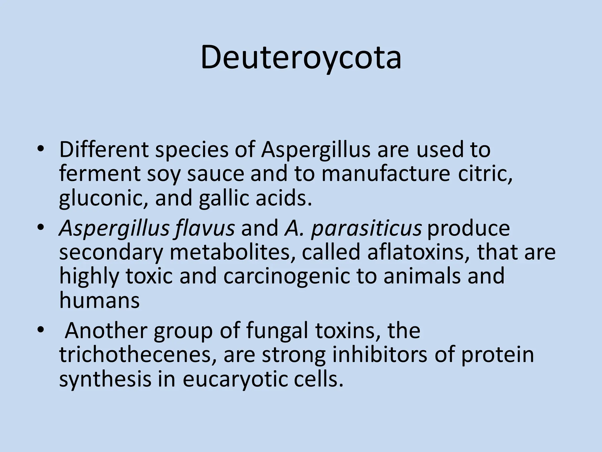 Deuteroycota
• Different species of Aspergillus are used to
ferment soy sauce and to manufacture citric,
gluconic, and gallic acids.
• Aspergillus flavus and A. parasiticus produce
secondary metabolites, called aflatoxins, that are
highly toxic and carcinogenic to animals and
humans
• Another group of fungal toxins, the
trichothecenes, are strong inhibitors of protein
synthesis in eucaryotic cells.
 