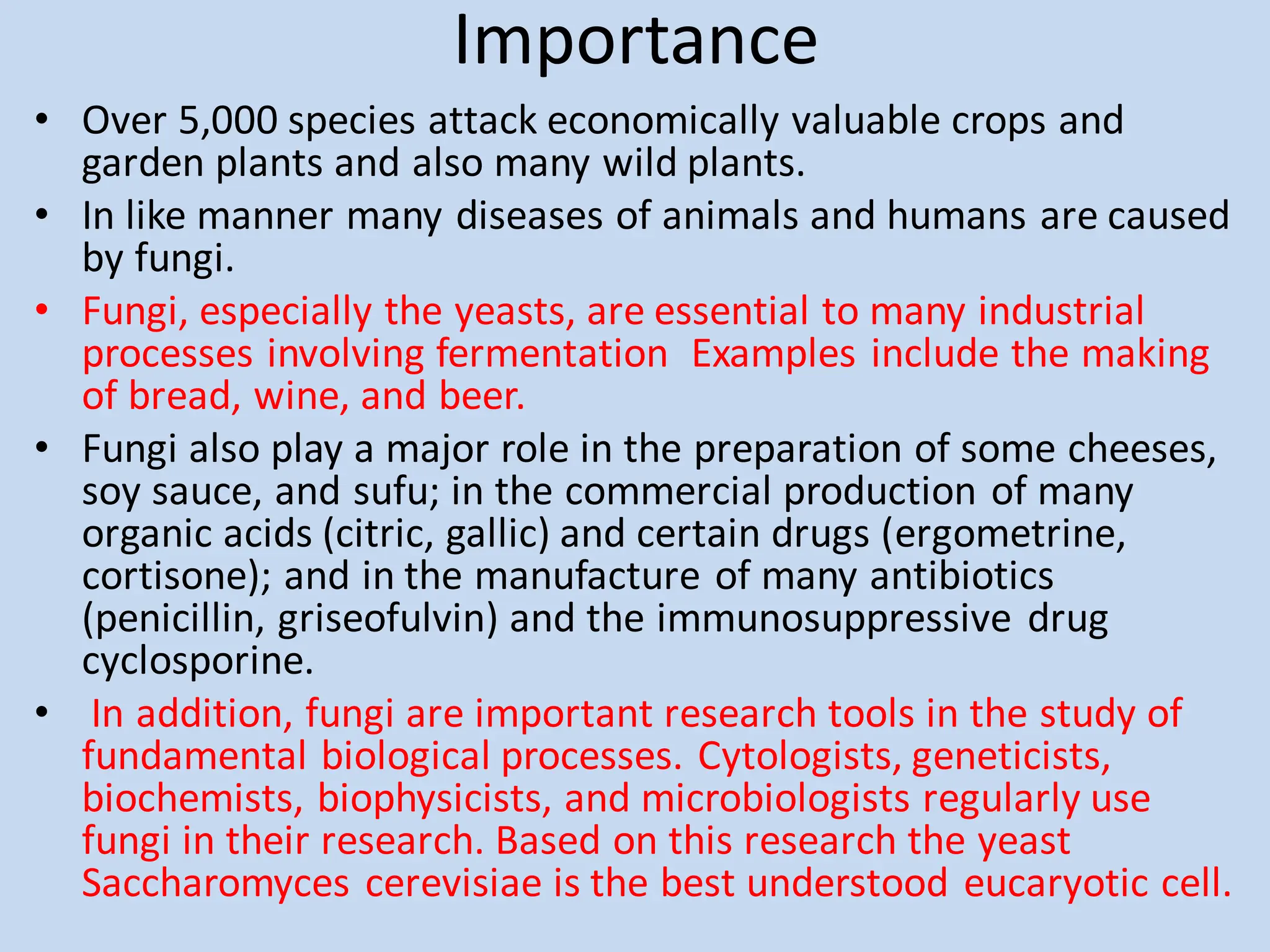 Importance
• Over 5,000 species attack economically valuable crops and
garden plants and also many wild plants.
• In like manner many diseases of animals and humans are caused
by fungi.
• Fungi, especially the yeasts, are essential to many industrial
processes involving fermentation Examples include the making
of bread, wine, and beer.
• Fungi also play a major role in the preparation of some cheeses,
soy sauce, and sufu; in the commercial production of many
organic acids (citric, gallic) and certain drugs (ergometrine,
cortisone); and in the manufacture of many antibiotics
(penicillin, griseofulvin) and the immunosuppressive drug
cyclosporine.
• In addition, fungi are important research tools in the study of
fundamental biological processes. Cytologists, geneticists,
biochemists, biophysicists, and microbiologists regularly use
fungi in their research. Based on this research the yeast
Saccharomyces cerevisiae is the best understood eucaryotic cell.
 