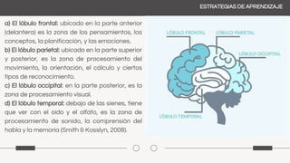 ESTRATEGIAS DE APRENDIZAJE
a) El lóbulo frontal: ubicado en la parte anterior
(delantera) es la zona de los pensamientos, los
conceptos, la planificación, y las emociones.
b) El lóbulo parietal: ubicado en la parte superior
y posterior, es la zona de procesamiento del
movimiento, la orientación, el cálculo y ciertos
tipos de reconocimiento.
c) El lóbulo occipital: en la parte posterior, es la
zona de procesamiento visual.
d) El lóbulo temporal: debajo de las sienes, tiene
que ver con el oído y el olfato, es la zona de
procesamiento de sonido, la comprensión del
habla y la memoria (Smith & Kosslyn, 2008).
 