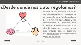 ¿Desde donde nos autorregulamos?
ESTRATEGIAS DE APRENDIZAJE
Se trata de una habilidad que no es
completamente innata sino que se
va desarrollando y fortaleciendo en
base a nuestro aprendizaje y las
circunstancias y estímulos que
forman parte de nuestras vidas. A
nivel biológico se corresponde en
gran medida con el desarrollo
del lóbulo frontal, y especialmente
el lóbulo prefrontal.
 
