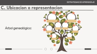 C. Ubicacion o representacion
ESTRATEGIAS DE APRENDIZAJE
Árbol genealógico:
 