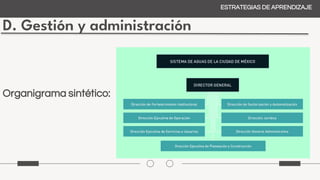 D. Gestión y administración
ESTRATEGIAS DE APRENDIZAJE
Organigrama sintético:
 