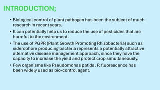Plant growth promoting Rhizobacteria(PGPR) | PDF