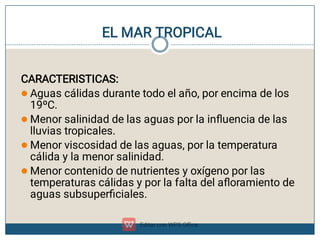 EL MAR TROPICAL




CARACTERISTICAS:
Aguas cálidas durante todo el año, por encima de los
19ºC.
Menor salinidad de las aguas por la inﬂuencia de las
lluvias tropicales.
Menor viscosidad de las aguas, por la temperatura
cálida y la menor salinidad.
Menor contenido de nutrientes y oxígeno por las
temperaturas cálidas y por la falta del aﬂoramiento de
aguas subsuperﬁciales.
 