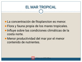 EL MAR TROPICAL 





La concentración de ﬁtoplancton es menor.
Flora y fauna propia de los mares tropicales.
Inﬂuye sobre las condiciones climáticas de la
costa norte.
Menor productividad del mar por el menor
contenido de nutrientes.
 