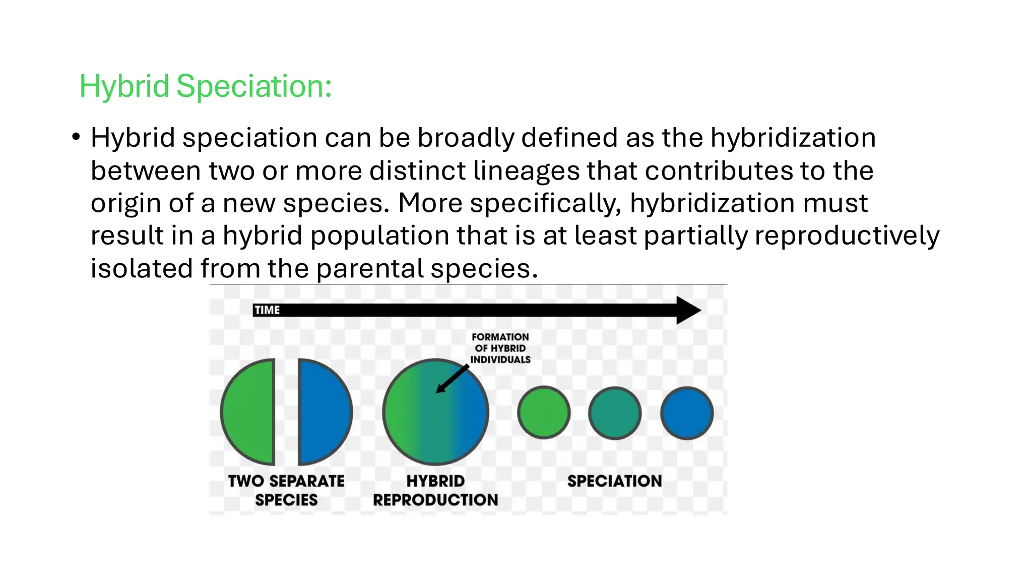 Hybrid Speciation:
• Hybrid speciation can be broadly defined as the hybridization
between two or more distinct lineages that contributes to the
origin of a new species. More specifically, hybridization must
result in a hybrid population that is at least partially reproductively
isolated from the parental species.
 